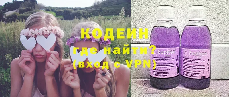 blacksprut ссылки  Нестеров  Кодеин Purple Drank 